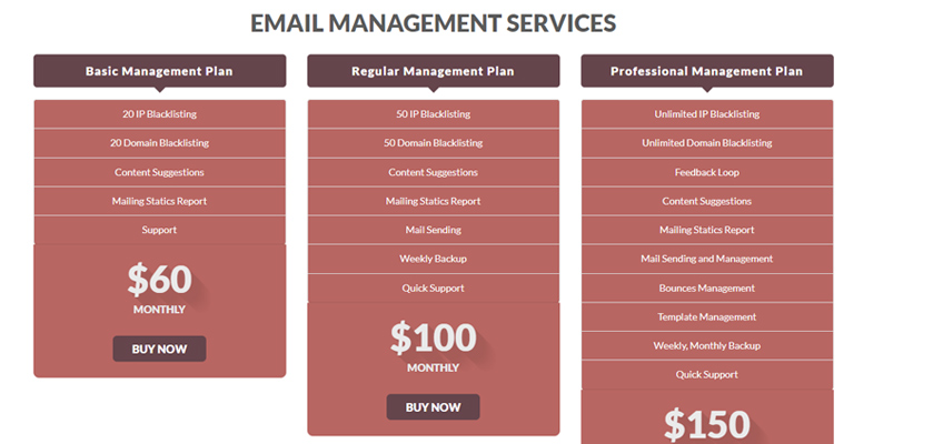 EMAIL MANAGEMENT SERVICES
